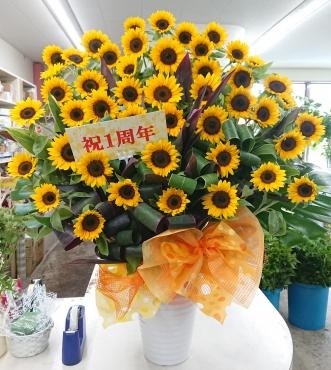 一周年お祝い ヒマワリのつぼ活け風アレンジメント♪｜「愛花」　（愛媛県松山市の花キューピット加盟店 花屋）のブログ