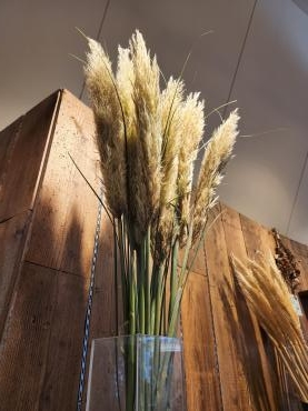 ギザギザ・シャキーン｜「花里」　（神奈川県逗子市の花キューピット加盟店 花屋）のブログ