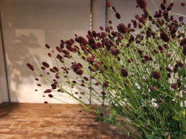 秋｜「花里」　（神奈川県逗子市の花キューピット加盟店 花屋）のブログ