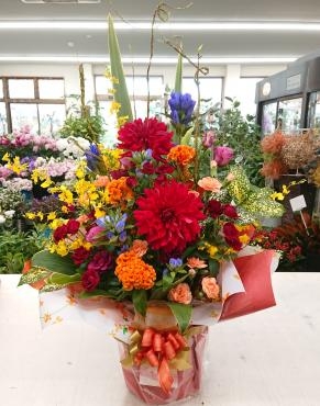 個展開催祝い アレンジメント♪｜「愛花」　（愛媛県松山市の花キューピット加盟店 花屋）のブログ
