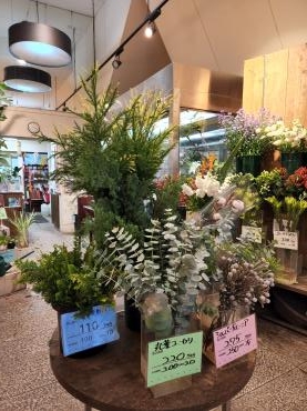 クリスマスグリーン｜「花里」　（神奈川県逗子市の花キューピット加盟店 花屋）のブログ