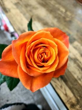 つむじ｜「花里」　（神奈川県逗子市の花キューピット加盟店 花屋）のブログ