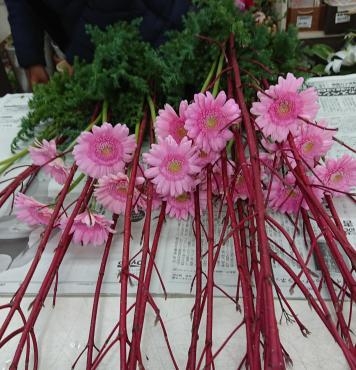 華道部 おけいこ花♪｜「愛花」　（愛媛県松山市の花キューピット加盟店 花屋）のブログ