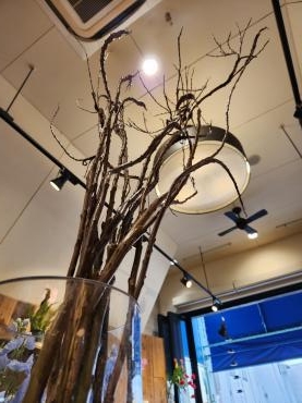 造形美｜「花里」　（神奈川県逗子市の花キューピット加盟店 花屋）のブログ