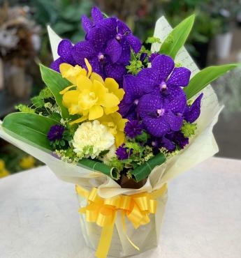 退院祝い アレンジメント♪｜「愛花」　（愛媛県松山市の花キューピット加盟店 花屋）のブログ