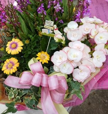 お祝い 寄せ鉢♪｜「愛花」　（愛媛県松山市の花キューピット加盟店 花屋）のブログ