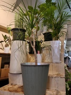 本格的にスタートしました｜「花里」　（神奈川県逗子市の花キューピット加盟店 花屋）のブログ