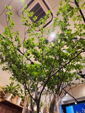青葉｜「花里」　（神奈川県逗子市の花キューピット加盟店 花屋）のブログ