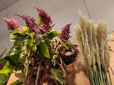 秋の気配｜「花里」　（神奈川県逗子市の花キューピット加盟店 花屋）のブログ