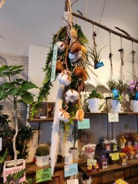 ハーフ&amp;ハーフ｜「花里」　（神奈川県逗子市の花キューピット加盟店 花屋）のブログ