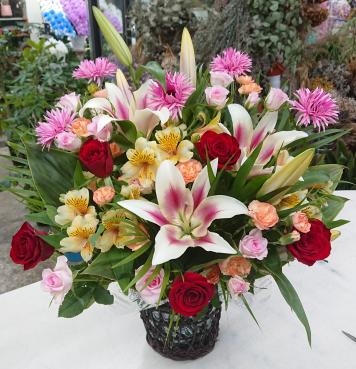 お祝い アレンジメント♪｜「愛花」　（愛媛県松山市の花キューピット加盟店 花屋）のブログ