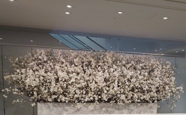４月の入社式の・・・｜「フロリストシャイン」　（大阪府大阪市淀川区の花キューピット加盟店 花屋）のブログ