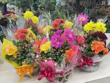 中学校 対面式 寄せ鉢♪｜「愛花」　（愛媛県松山市の花キューピット加盟店 花屋）のブログ