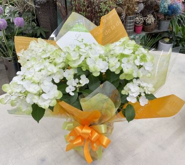 ラグランジア「シャンデリーニ」♪｜「愛花」　（愛媛県松山市の花キューピット加盟店 花屋）のブログ