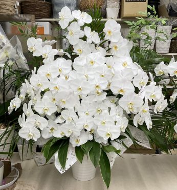 お通夜・葬儀 お供え 胡蝶蘭 つぼ活け風アレンジメント｜「愛花」　（愛媛県松山市の花キューピット加盟店 花屋）のブログ