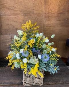 国際女性デ―＊ミモザの日｜「斎藤生花店」　（静岡県静岡市葵区の花キューピット加盟店 花屋）のブログ