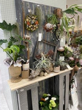 観葉植物で潤いライフのおすすめです｜「フローリスト飾り屋」　（鹿児島県鹿児島市の花キューピット加盟店 花屋）のブログ