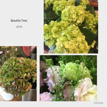 春のお花入荷していますよ〜〜｜「フローリスト飾り屋」　（鹿児島県鹿児島市の花キューピット加盟店 花屋）のブログ