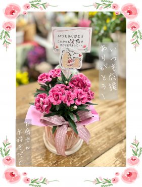 母の日カーネーション( *´艸｀)｜「フローリスト飾り屋」　（鹿児島県鹿児島市の花キューピット加盟店 花屋）のブログ