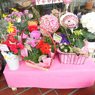 今年の母の日は5/12(日)たくさんご用意できてます｜「ポピー」　（京都府八幡市の花キューピット加盟店 花屋）のブログ