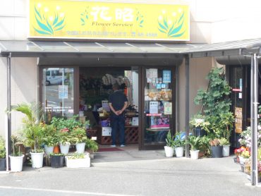 夏休み｜「花昭」　（神奈川県藤沢市の花キューピット加盟店 花屋）のブログ
