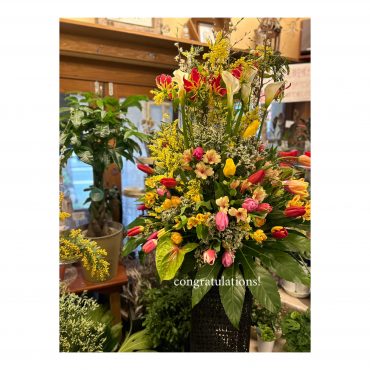 開店御祝スタンド｜「フローリスト飾り屋」　（鹿児島県鹿児島市の花キューピット加盟店 花屋）のブログ