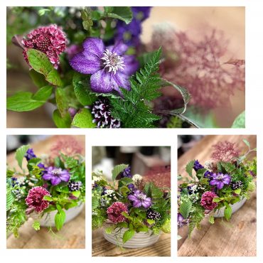 この時期の植物たち｜「フローリスト飾り屋」　（鹿児島県鹿児島市の花キューピット加盟店 花屋）のブログ