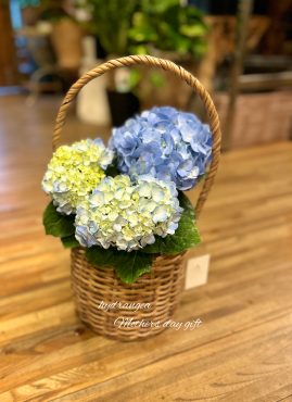雨の日でも・・・｜「フローリスト飾り屋」　（鹿児島県鹿児島市の花キューピット加盟店 花屋）のブログ