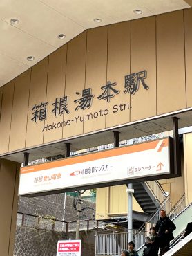 箱根～下田に行ってきました｜「ポピー」　（京都府八幡市の花キューピット加盟店 花屋）のブログ