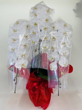 草津温泉へ胡蝶蘭｜「彩季舎」　（群馬県高崎市の花キューピット加盟店 花屋）のブログ