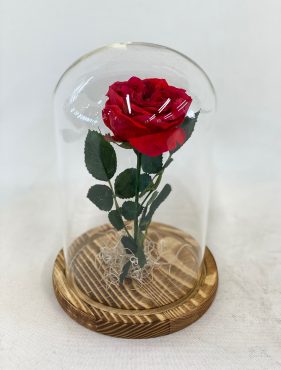 赤バラ　ワンステム　アフターブーケ｜「彩季舎」　（群馬県高崎市の花キューピット加盟店 花屋）のブログ