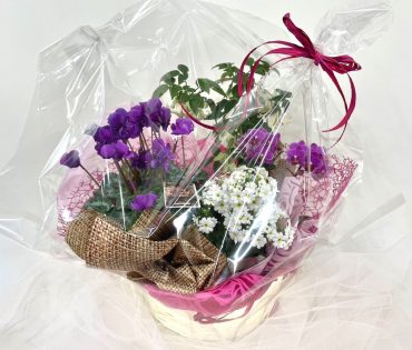 プランツアレンジ　寄せ鉢｜「彩季舎」　（群馬県高崎市の花キューピット加盟店 花屋）のブログ