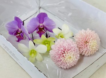 和装用髪飾り　前撮り｜「彩季舎」　（群馬県高崎市の花キューピット加盟店 花屋）のブログ
