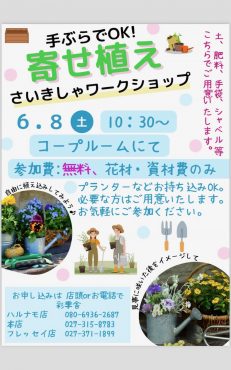 寄せ植え　ワークショップ｜「彩季舎」　（群馬県高崎市の花キューピット加盟店 花屋）のブログ