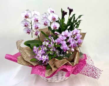プランツアレンジ　寄せ鉢｜「彩季舎」　（群馬県高崎市の花キューピット加盟店 花屋）のブログ