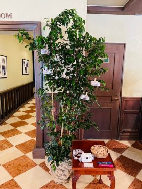 ウエルカムツリー｜「彩季舎」　（群馬県高崎市の花キューピット加盟店 花屋）のブログ