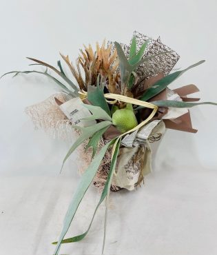 ビカクシダ(コウモリラン)｜「彩季舎」　（群馬県高崎市の花キューピット加盟店 花屋）のブログ