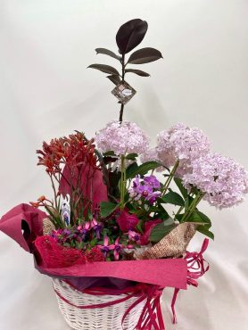 プランツアレンジ　寄せ鉢｜「彩季舎」　（群馬県高崎市の花キューピット加盟店 花屋）のブログ