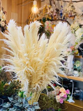 ふわふわパンパス｜「彩季舎」　（群馬県高崎市の花キューピット加盟店 花屋）のブログ