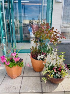 プランターと花壇の植え替え｜「彩季舎」　（群馬県高崎市の花キューピット加盟店 花屋）のブログ