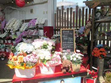 5月12日は母の日です｜「難波ナーセリー」　（岡山県倉敷市の花キューピット加盟店 花屋）のブログ