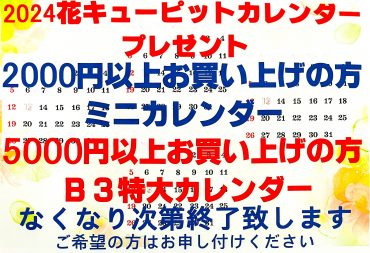 2024年カレンダープレゼント｜「ポピー」　（京都府八幡市の花キューピット加盟店 花屋）のブログ