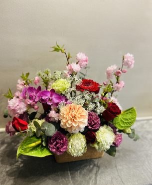 hanayaka・・・！｜「フローリスト飾り屋」　（鹿児島県鹿児島市の花キューピット加盟店 花屋）のブログ