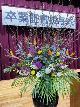 卒業式と鉢苗物仕入れ｜「ポピー」　（京都府八幡市の花キューピット加盟店 花屋）のブログ