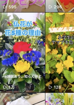 インスタのリール動画バズッた！！｜「ポピー」　（京都府八幡市の花キューピット加盟店 花屋）のブログ