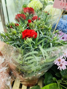 5/12は母の日・カーネーション鉢入荷！｜「ポピー」　（京都府八幡市の花キューピット加盟店 花屋）のブログ