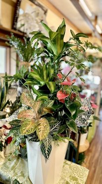 夏のグリーンインテリア・・・｜「フローリスト飾り屋」　（鹿児島県鹿児島市の花キューピット加盟店 花屋）のブログ