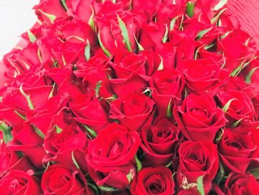 11/22は、いい夫婦の日｜「ポピー」　（京都府八幡市の花キューピット加盟店 花屋）のブログ