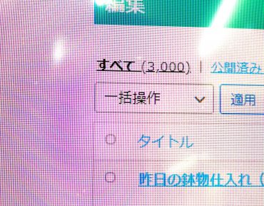 祝3000投稿！！（プレゼント企画）｜「ポピー」　（京都府八幡市の花キューピット加盟店 花屋）のブログ