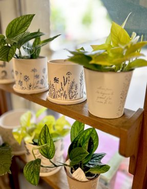 初夏を楽しむ器とみどりの仲間たち｜「フローリスト飾り屋」　（鹿児島県鹿児島市の花キューピット加盟店 花屋）のブログ